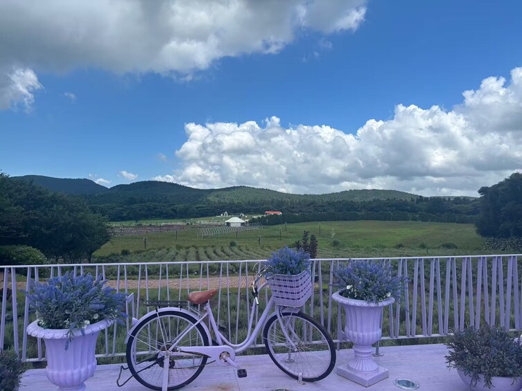 Ein Fahrrad auf einem Balkon mit Blick auf eine grüne Landschaft aus Bergen und Feldern. 2