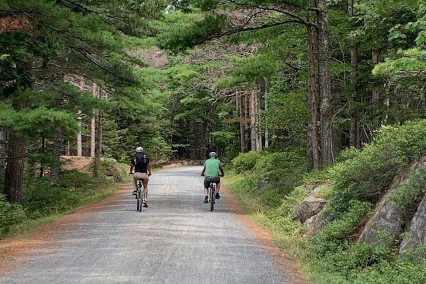 Two cyclists on a paved road surrounded by dense forest. 3