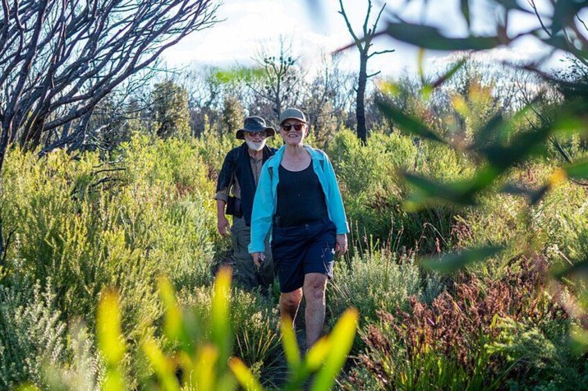 Two people walking through a grassy area with trees and shrubs. 5