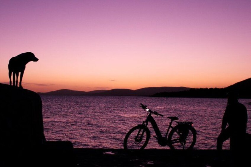 A silhouette of a dog, a person, and a bicycle against a sunset over water. 2