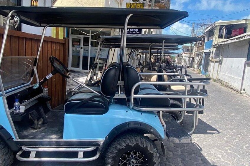 A blue golf cart parked on a cobblestone street with a wooden fence and buildings in the background. 5
