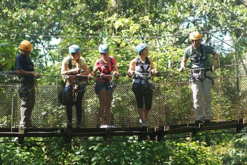 6 in 1 RainForest Adventure From San Jose 3