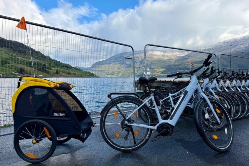A row of bicycles parked by a lake with a mountain in the background. 5