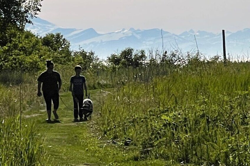 Two people walking a dog on a grassy path with mountains in the background. 5