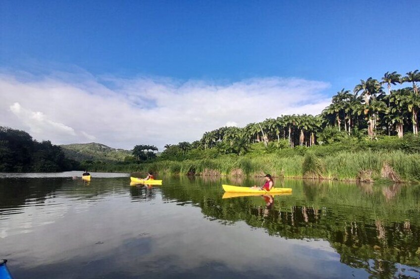 A calm river with kayaks, surrounded by lush greenery and palm trees. 1