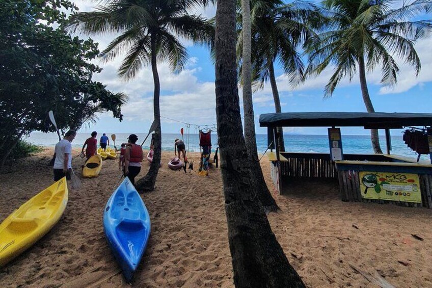 A beach with kayaks, palm trees, and a covered area. 5