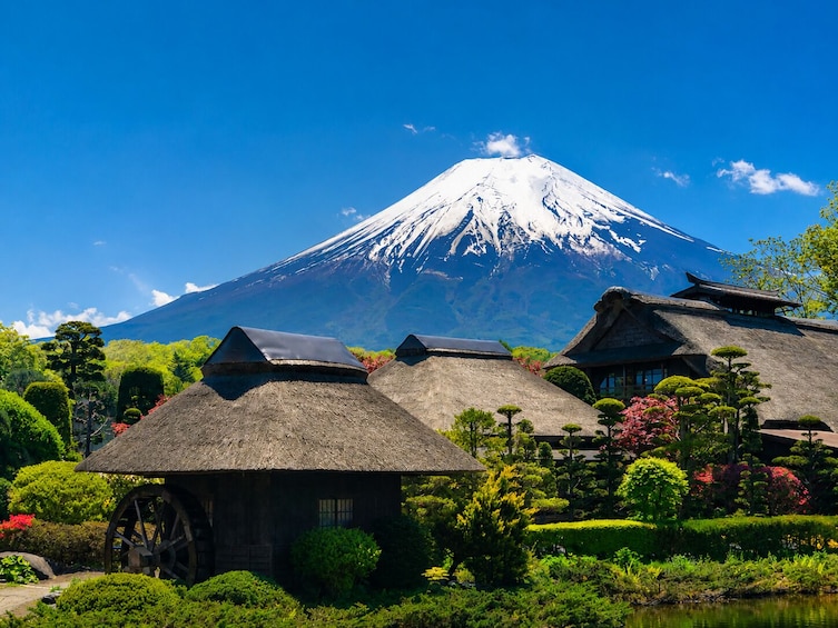 From Tokyo: Mt. Fuji, Oshino Hakkai & Gotemba Outlets 1Day Bus Tour 5