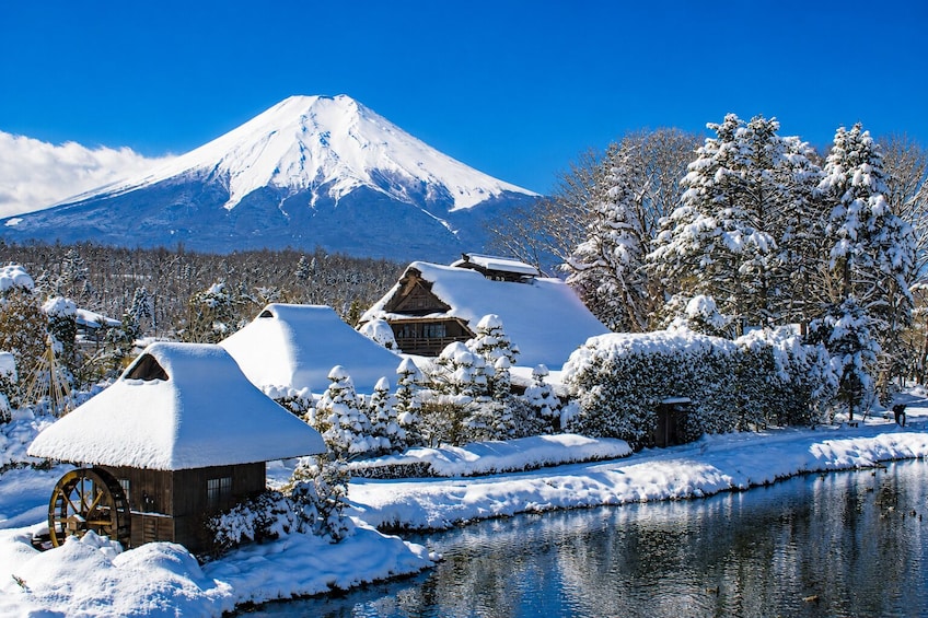 From Tokyo: Mt. Fuji, Oshino Hakkai & Gotemba Outlets 1Day Bus Tour 3