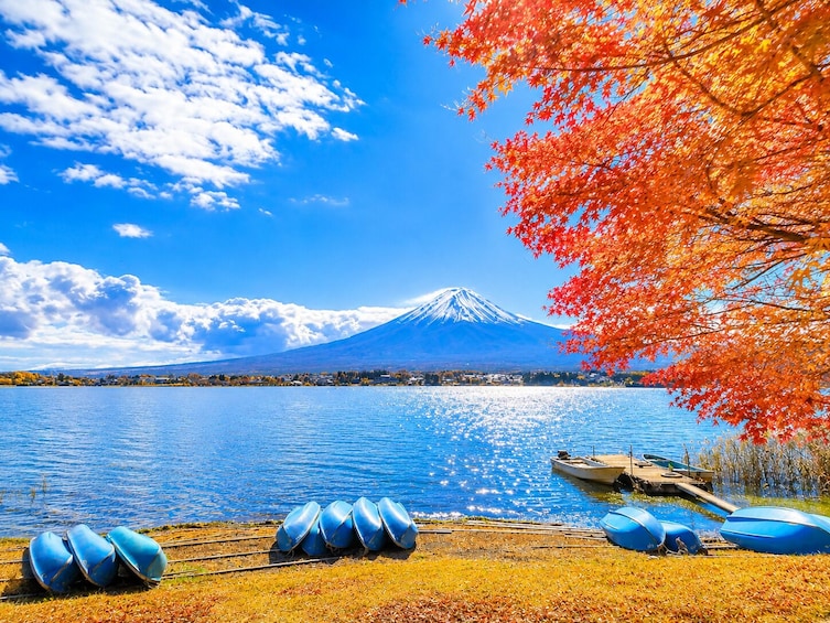 From Tokyo: Mt. Fuji, Oshino Hakkai & Gotemba Outlets 1Day Bus Tour 2