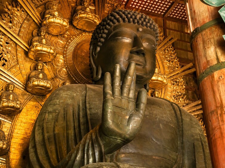 From Osaka/Kyoto: Kyoto and Nara 1-Day Bus Tour 4