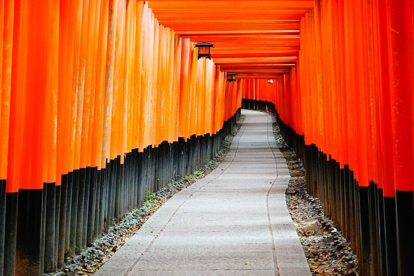 From Osaka/Kyoto: Kyoto and Nara 1-Day Bus Tour 4