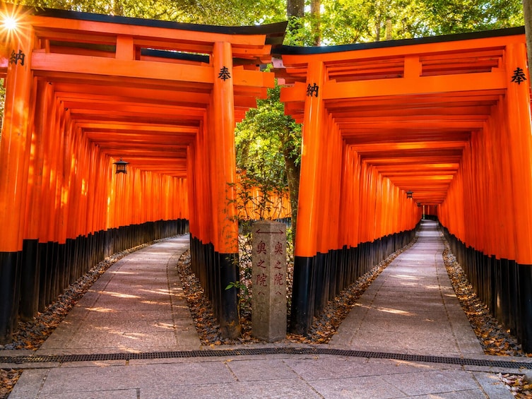 From Osaka/Kyoto: Kyoto and Nara 1-Day Bus Tour 2