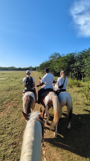 Tres personas montando a caballo en un campo cubierto de hierba, con árboles al fondo. 4