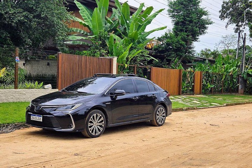 A black car parked on a dirt road with a wooden fence and large green plants in the background. 3