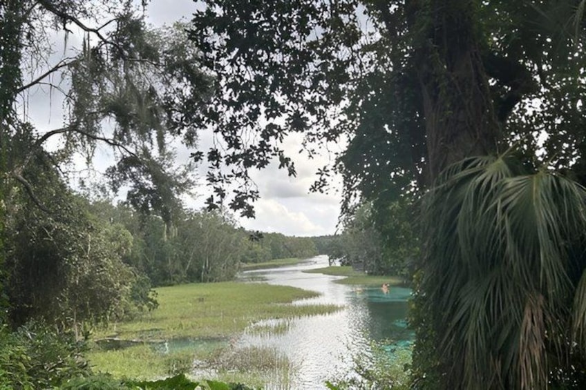 A river winding through a lush, green landscape with dense trees and a clear sky. 3
