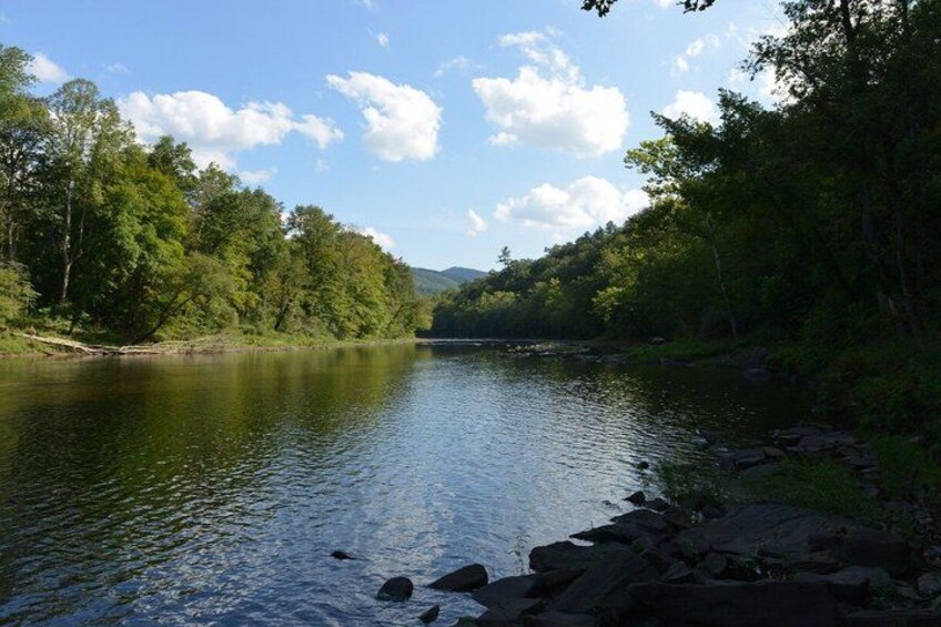 A calm river surrounded by dense trees and a clear sky. 5