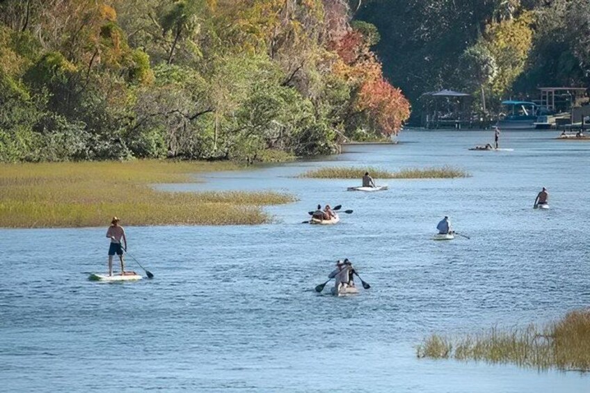 People paddleboarding on a calm lake surrounded by trees with autumn foliage. 3
