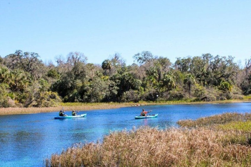 Two people kayaking on a calm river surrounded by dense greenery. 2