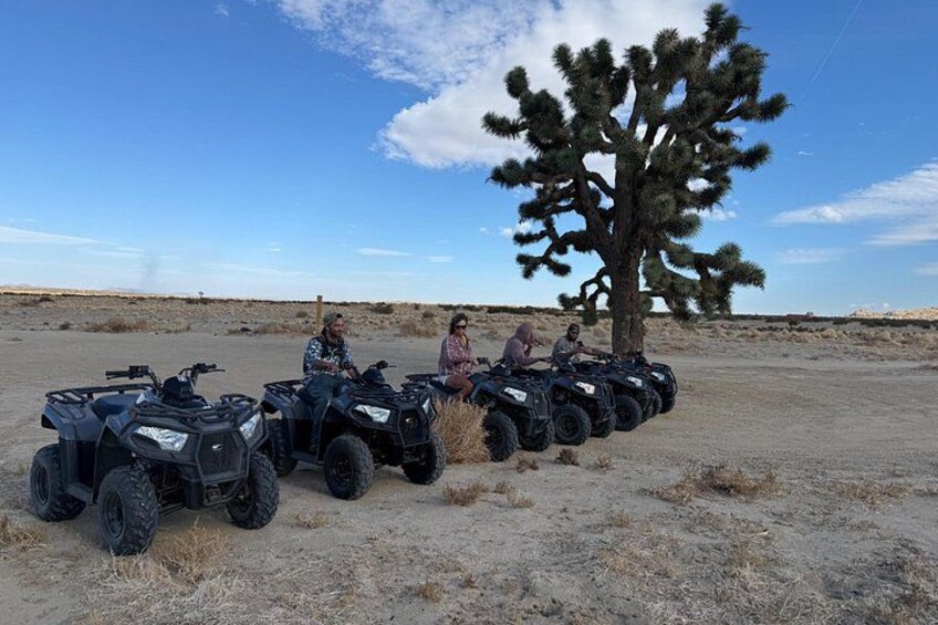A group of ATVs parked in a desert with a large Joshua tree in the background. 5