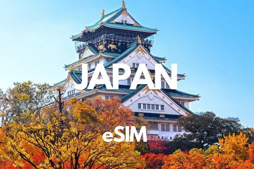 A traditional Japanese castle with autumn foliage. 1