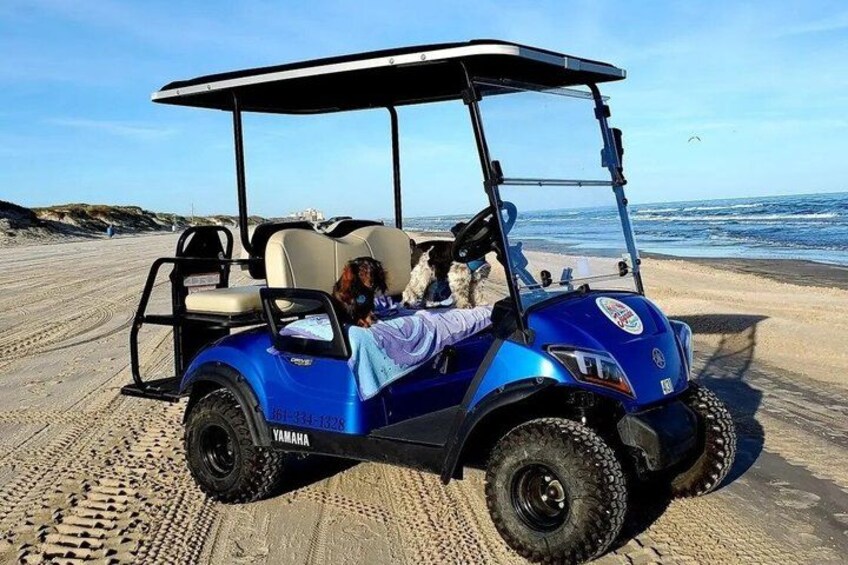 A blue golf cart on a sandy beach with the ocean in the background. 3