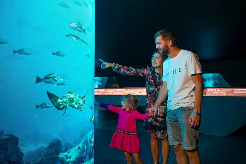 A family at an aquarium, observing fish through a large display. 4