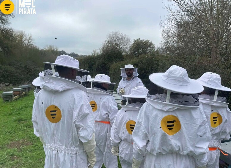 A group of people in protective white suits with bee symbols, likely beekeepers, standing outdoors. 1