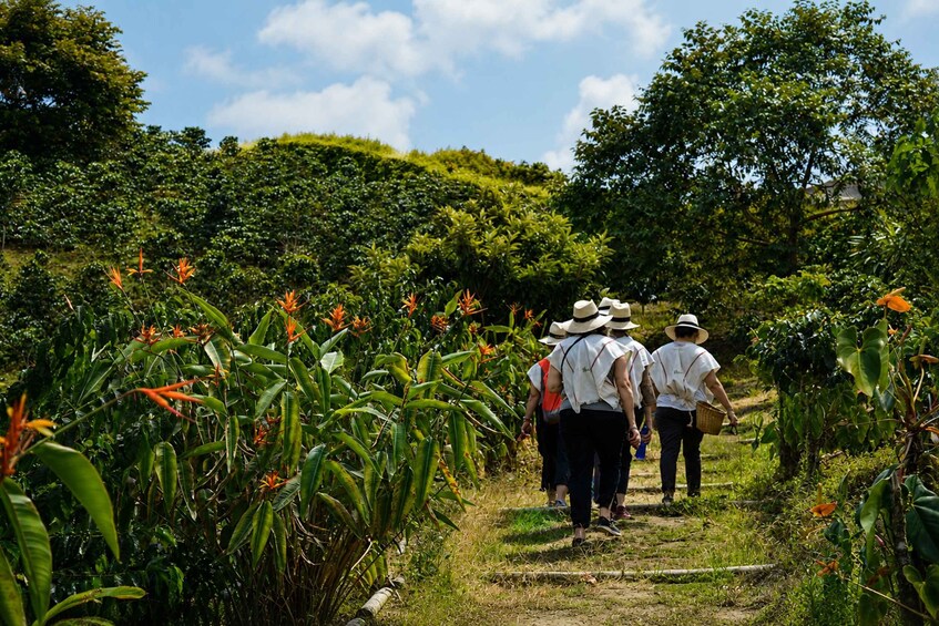 A group of people walking on a dirt path surrounded by lush greenery and tropical plants. 4