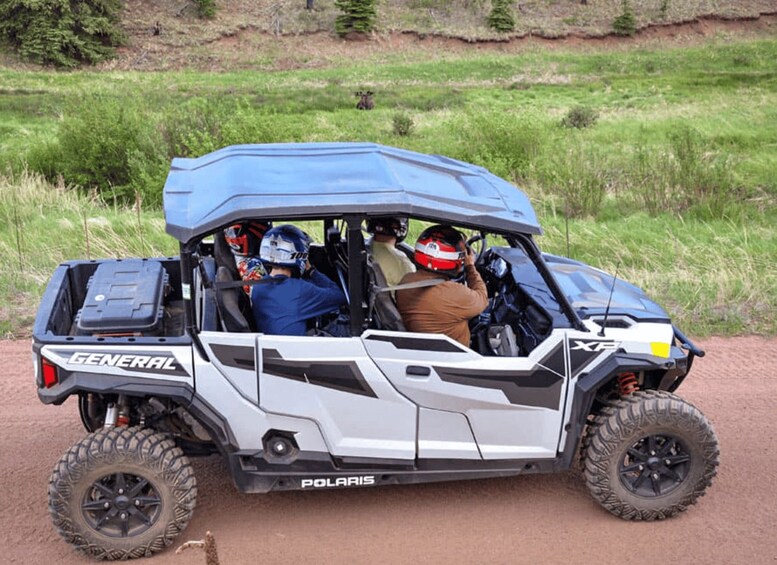 A white Polaris vehicle with a blue roof, equipped with a spare tire and a storage box on the back, parked on a dirt path. 5