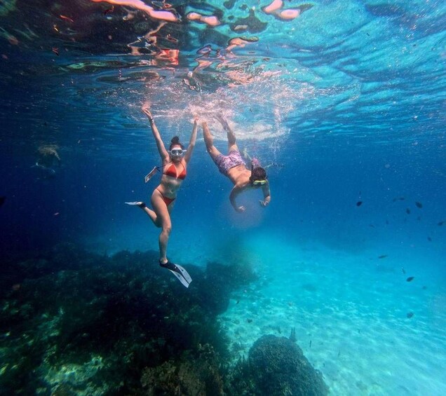 Two people snorkeling underwater with clear blue water and marine life. 3