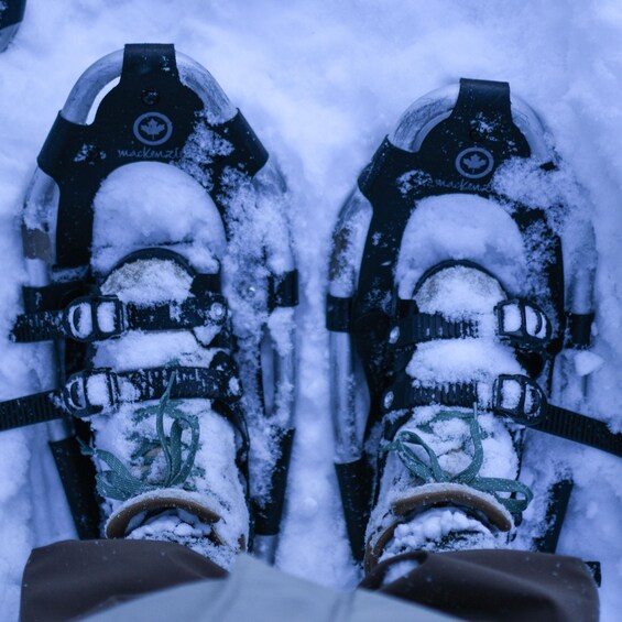 Schneeschuhe mit Schnee. 2