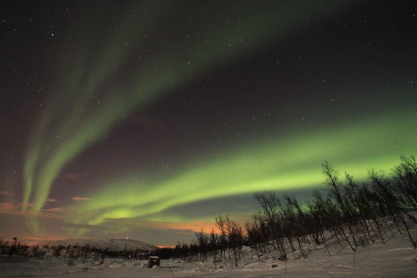 Nordlichter über einer verschneiten Landschaft mit Bäumen. 3