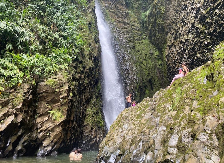 Una cascada en un cañón rocoso con abundante vegetación. 1