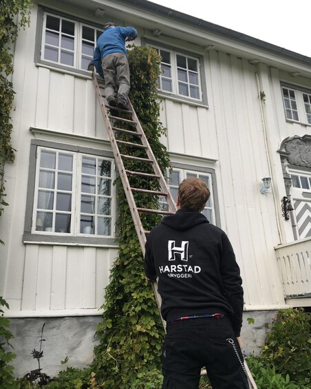 A person on a ladder climbing a white building with windows and ivy. 1