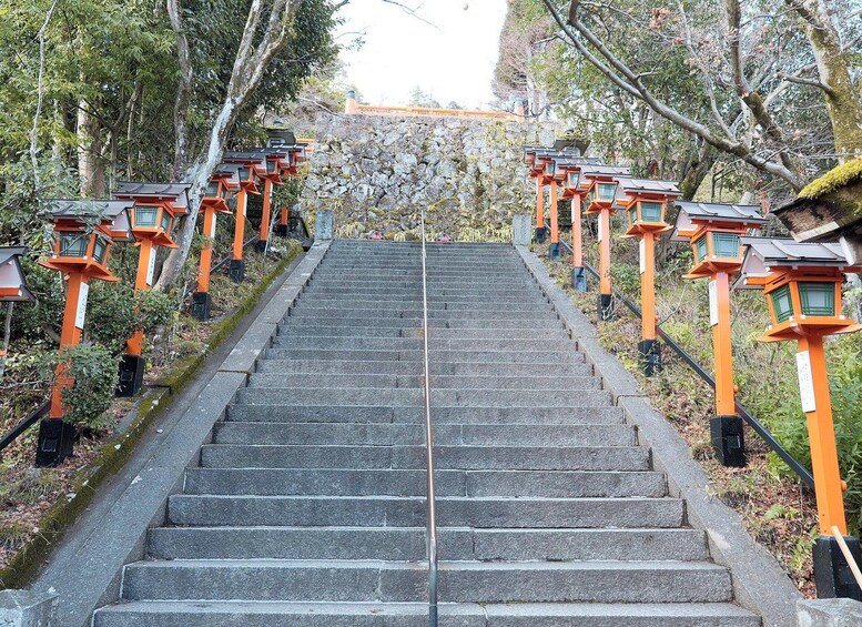 Un escalier en pierre, bordé de portails torii orange, mène au sommet d’une colline. 3