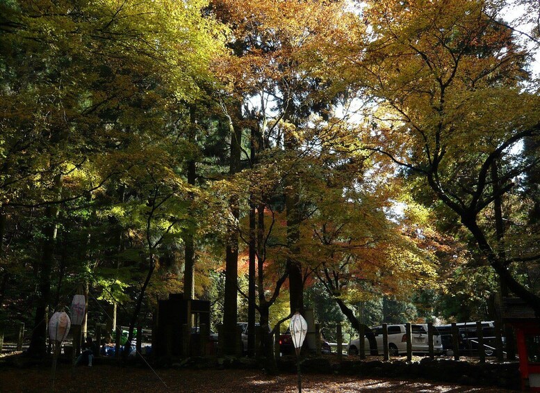 Une forêt aux couleurs automnales, une clôture en bois et un petit sanctuaire. 2