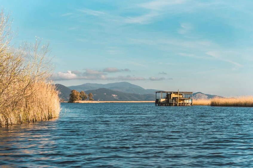 A calm lake with a wooden dock extending into the water, surrounded by tall grasses and distant mountains under a clear sky. 1