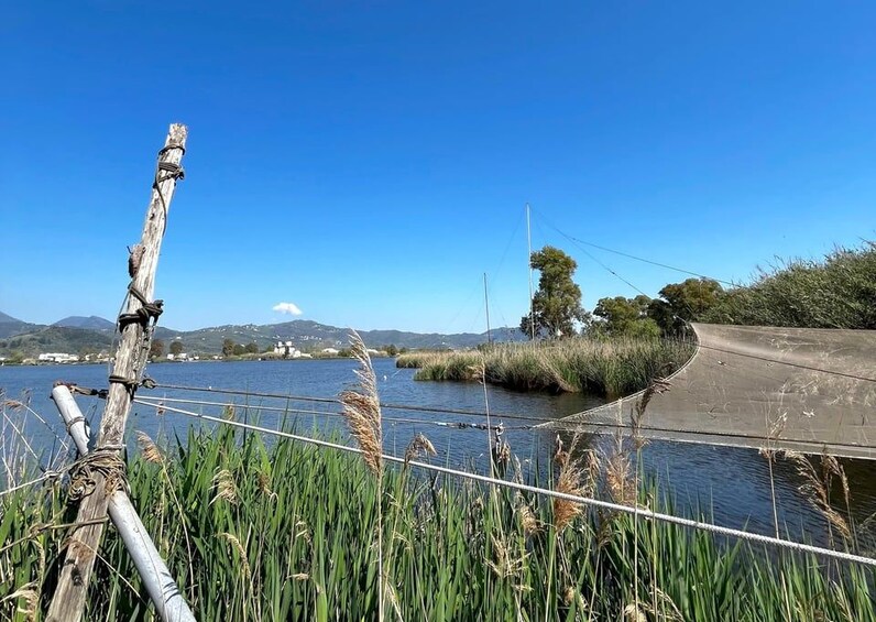 A wooden fence, a concrete path, and a body of water with reeds in the foreground. 3