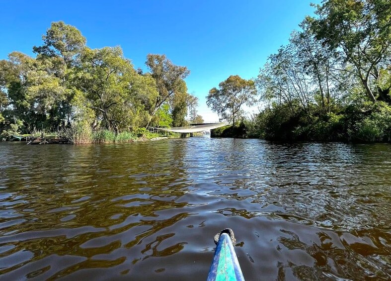 A river with a bridge, surrounded by trees. 5
