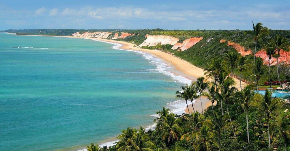Un paysage côtier avec une plage, des palmiers et des falaises. 4