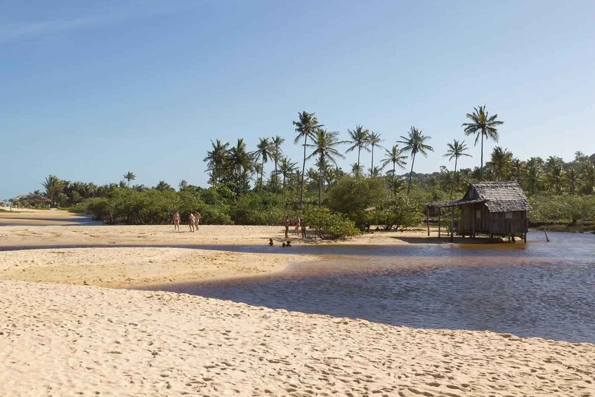 Une plage bordée de palmiers, une cabane en bois et des gens qui se promènent. 3