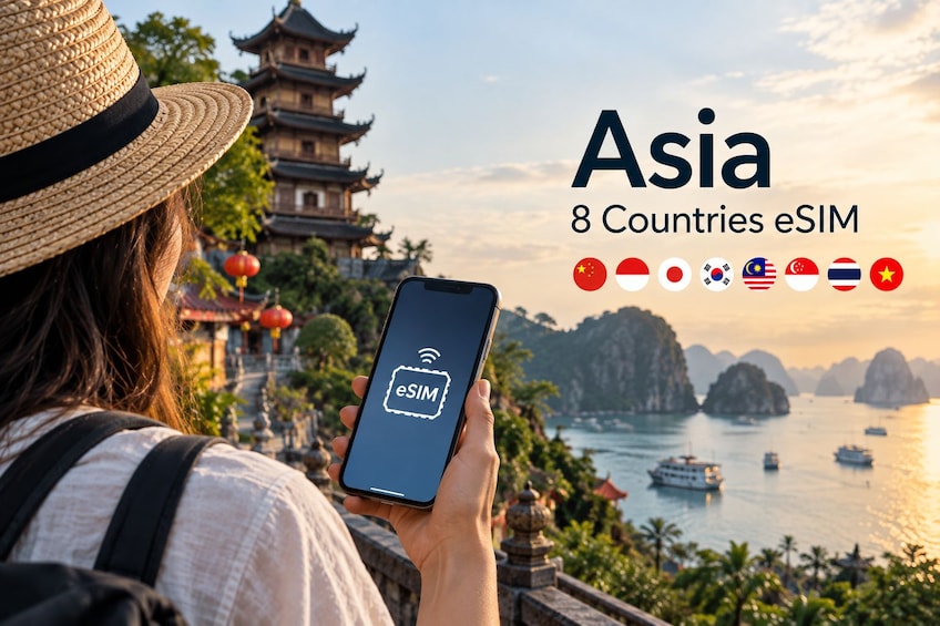 A person holding a smartphone with an eSIM icon, with a background of a traditional Asian pagoda and a coastal landscape. 1
