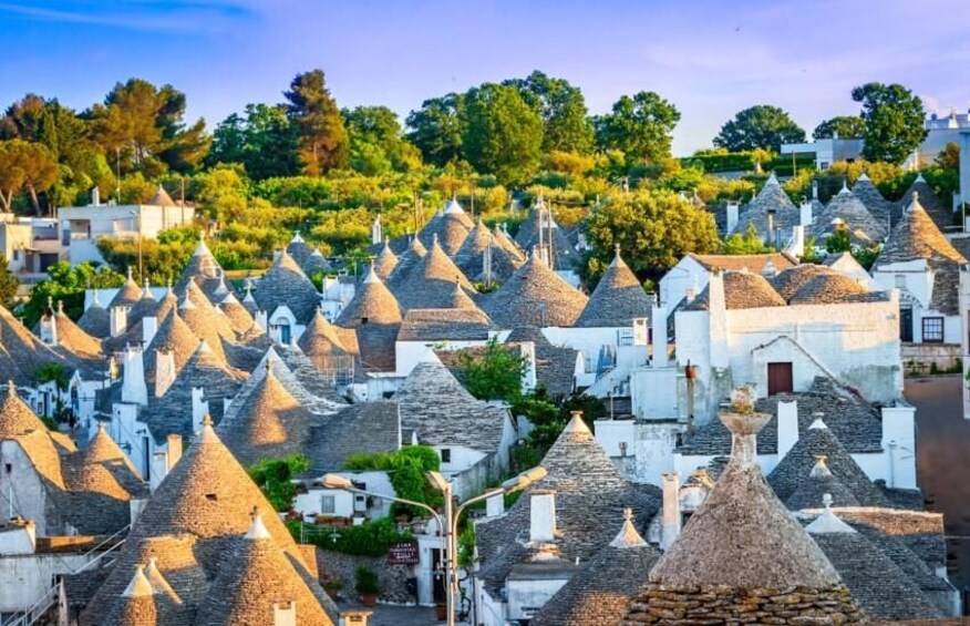 A village with conical-roofed houses, a church, and a hill with trees in the background. 3