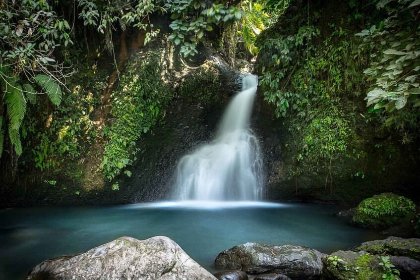 Une cascade au cœur d’une forêt luxuriante, avec un bassin paisible à ses pieds. 2