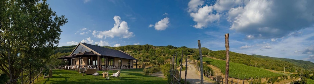 A house with a sloped roof, surrounded by a grassy lawn and a dirt path leading to it. 4