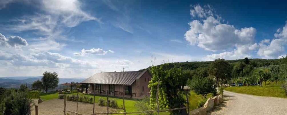 A rural landscape with a house, a dirt road, and a vineyard. 1