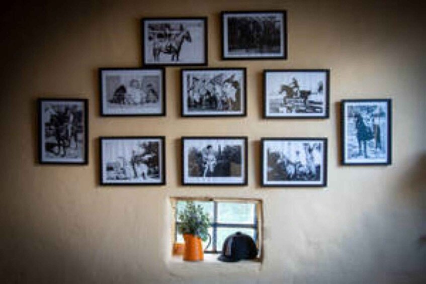 Picture 1 for Activity Kudu Trail Horse Riding Experience 3