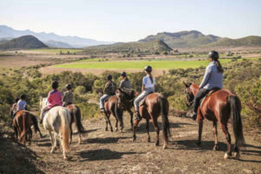 Kudu Trail Horse Riding Experience 1
