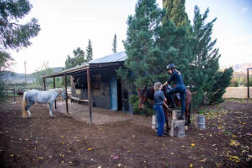 Picture 3 for Activity Kudu Trail Horse Riding Experience 2