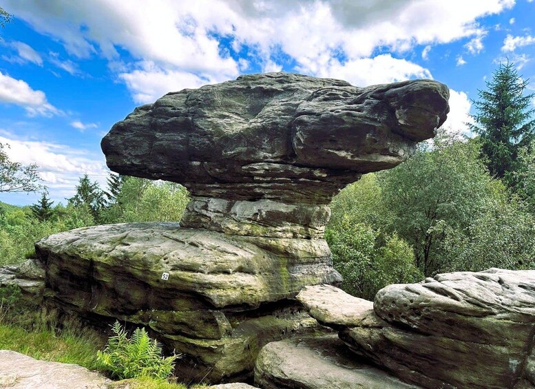 A large rock formation with a prominent overhang, surrounded by greenery and trees. 3